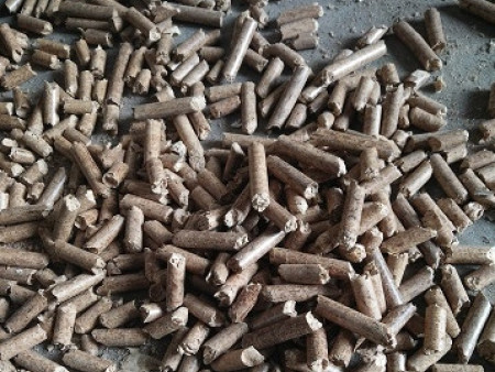 蘭州生物質顆粒廠家告知大家選購生物質顆粒要注意哪些？